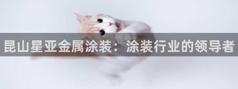 美高梅房价金殿澳门房价