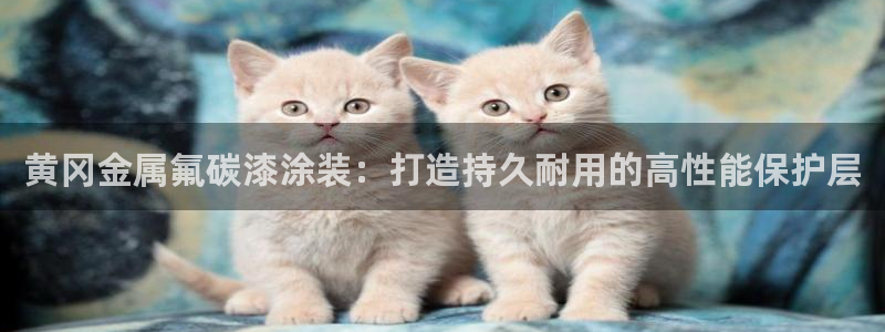 美高梅游戏苹果手机版