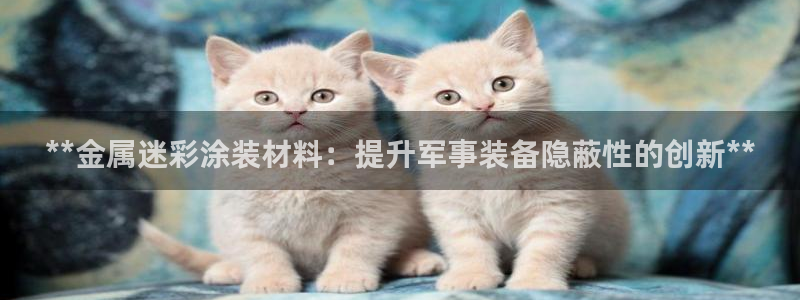 澳门有几家美高梅酒店