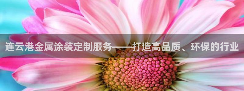 美高梅公司的业务范围