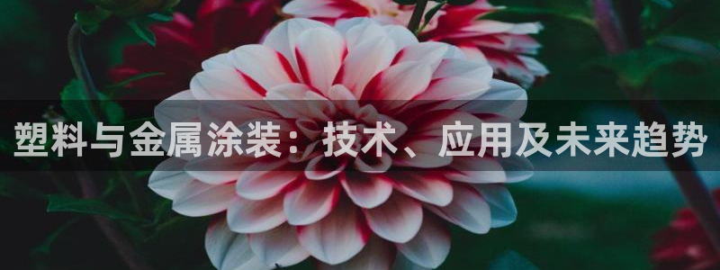 美高梅线上电子官网
