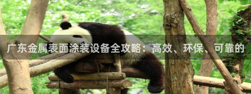 美高梅的老板是何超莲吗
