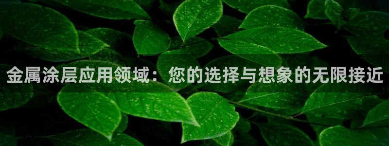 三亚美高梅酒店是哪个集团