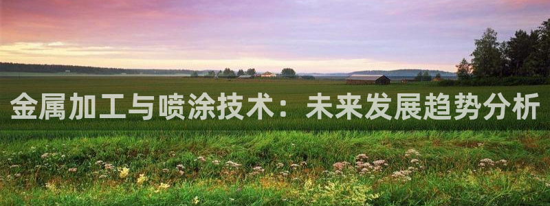 美高梅属于什么集团
