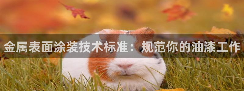 美高梅会员卡种类