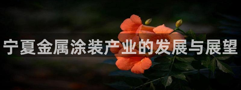 美高梅筹码5000跟100000的区别