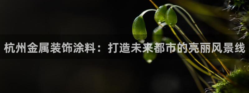 美高梅的老板是谁?