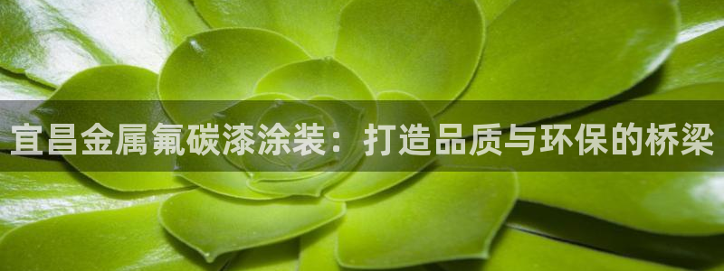 美高梅一千万筹码