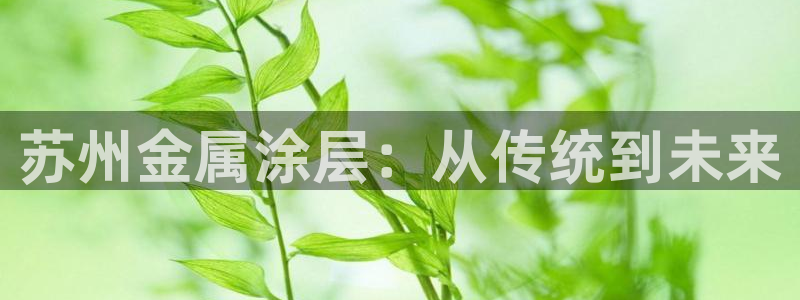美高梅酒店几星级的