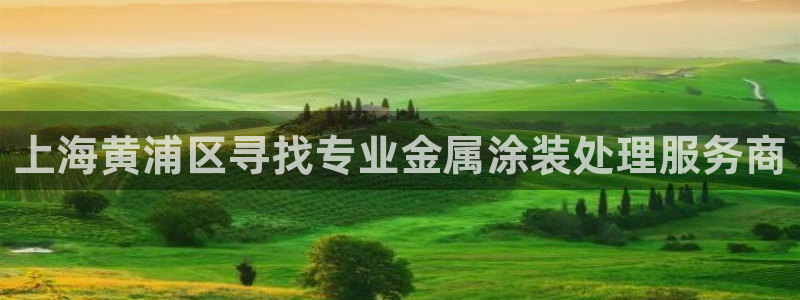 美高梅大酒店自助年卡