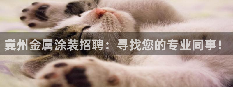 美狮美高梅酒店美食