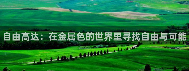 美高梅国际酒店集团股东