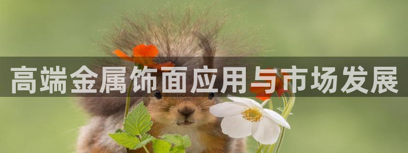 美高梅展艺空间