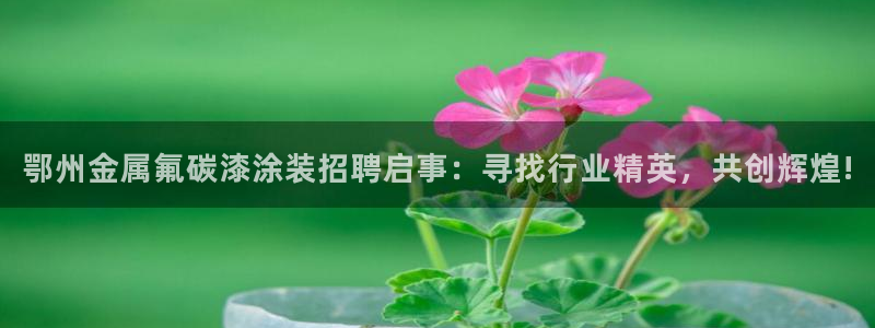 美狮美高梅酒店贵还是摩泊斯贵