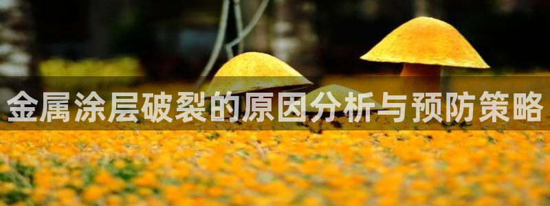 美高梅酒店和希尔顿酒店哪个好