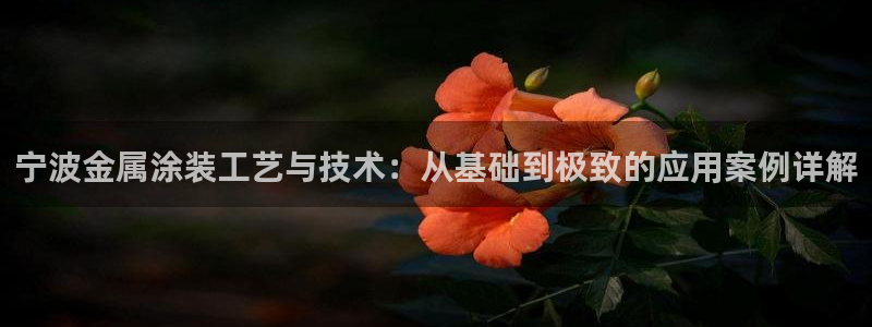 美高梅酒店上海
