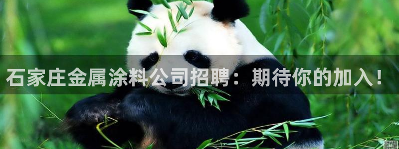美高梅客户服务中心招聘