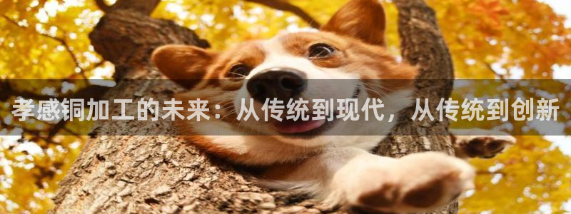 美高梅别墅价格