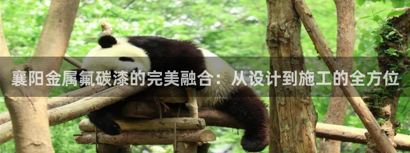 美狮美高梅酒店好锅餐厅