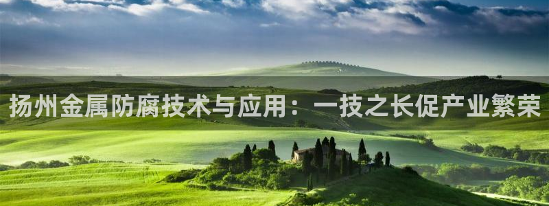 美高梅官网版是正品吗