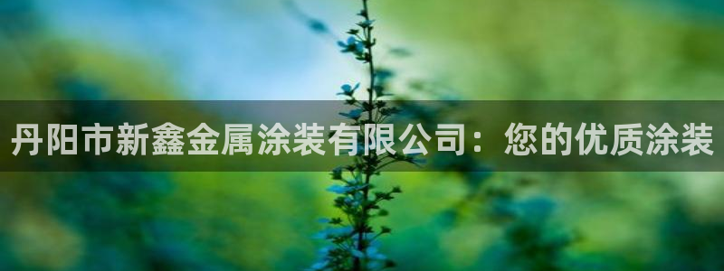 美高梅酒店和希尔顿酒店哪个好