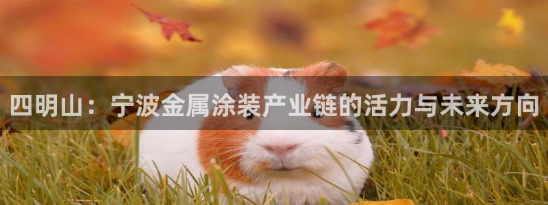 美高梅客户服务中心地址