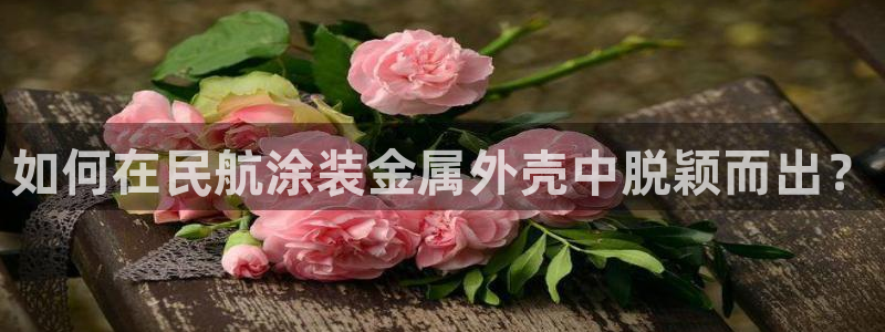 美高梅娱乐直营