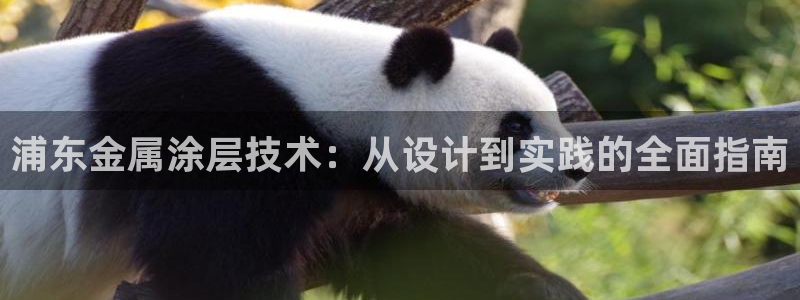 澳门几个美高梅