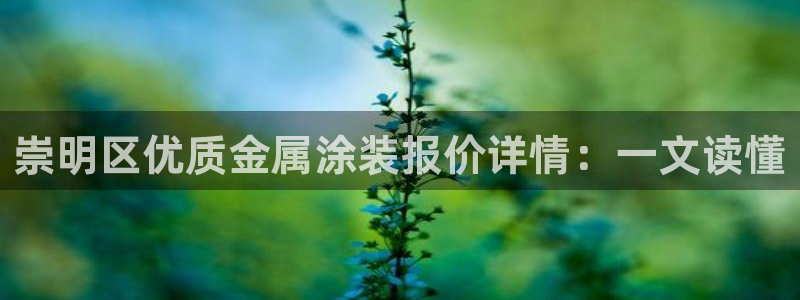 美高梅手机游戏怎么玩