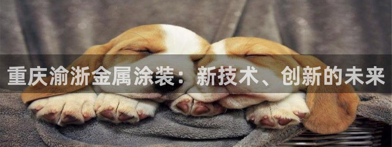 美高梅酒店人均