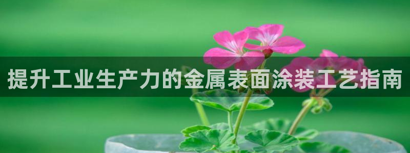 美高梅儿童乐园官网