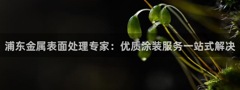 美高梅品牌介绍