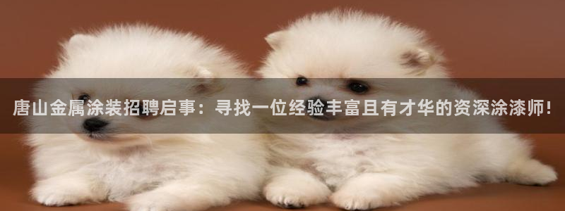 美高梅儿童乐园